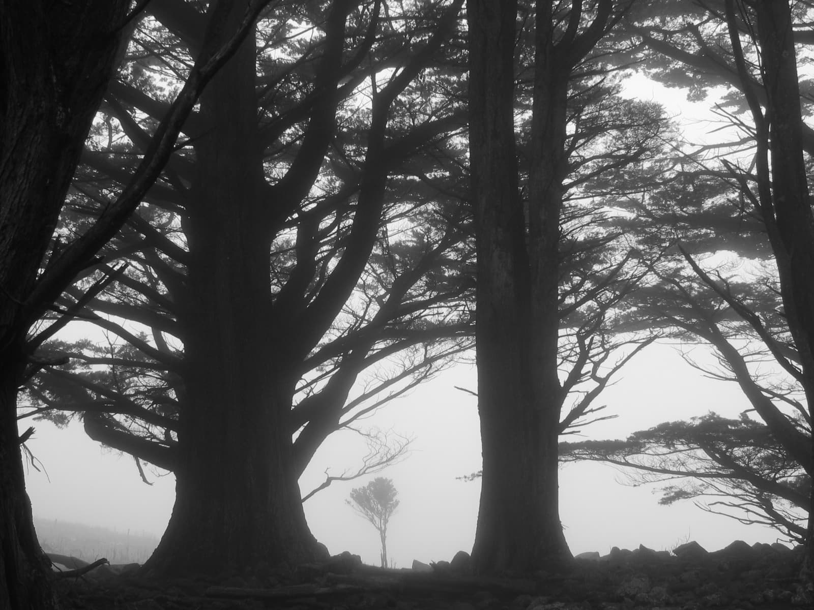A photo by Kim Pieters