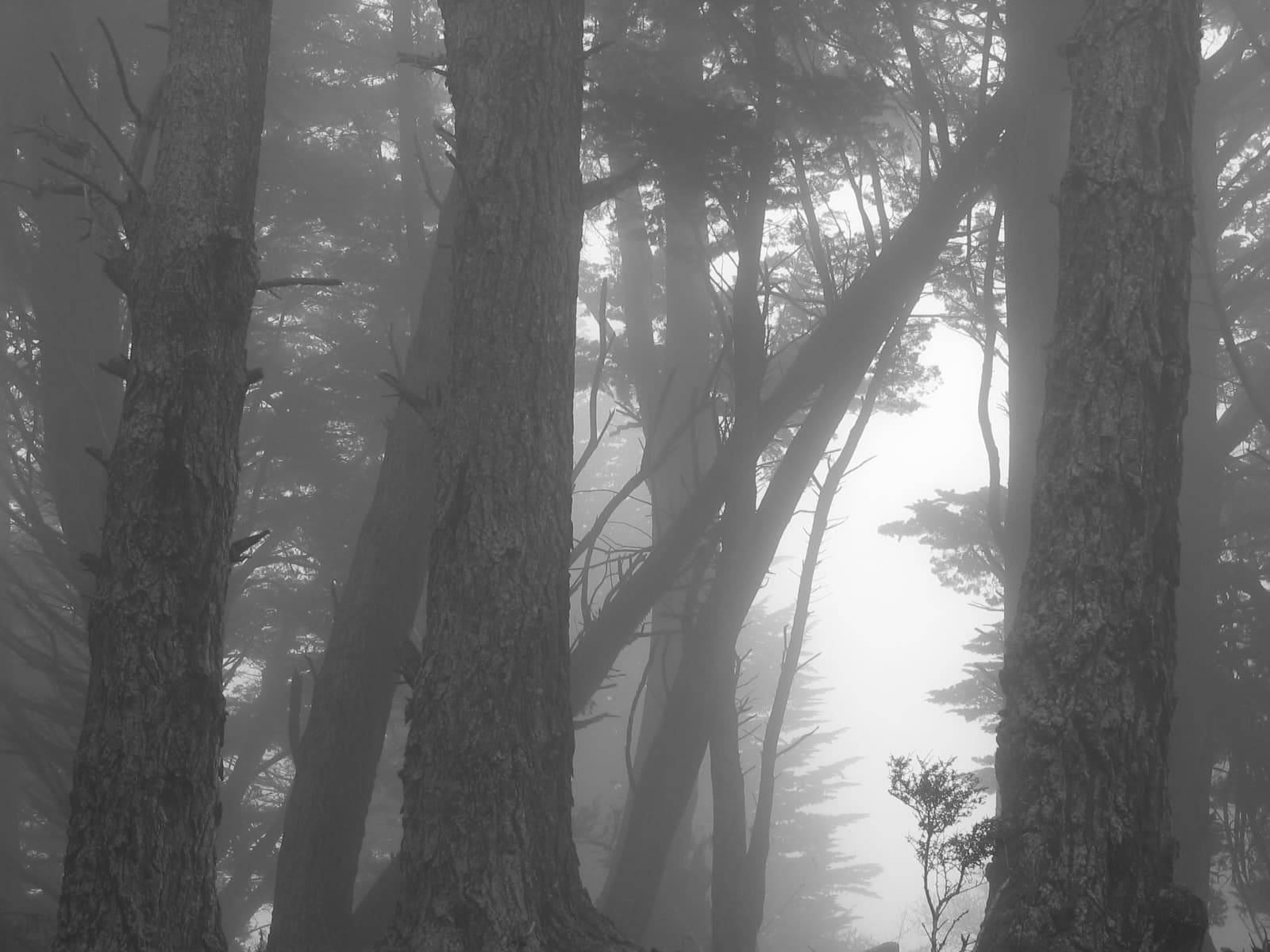 A photo by Kim Pieters