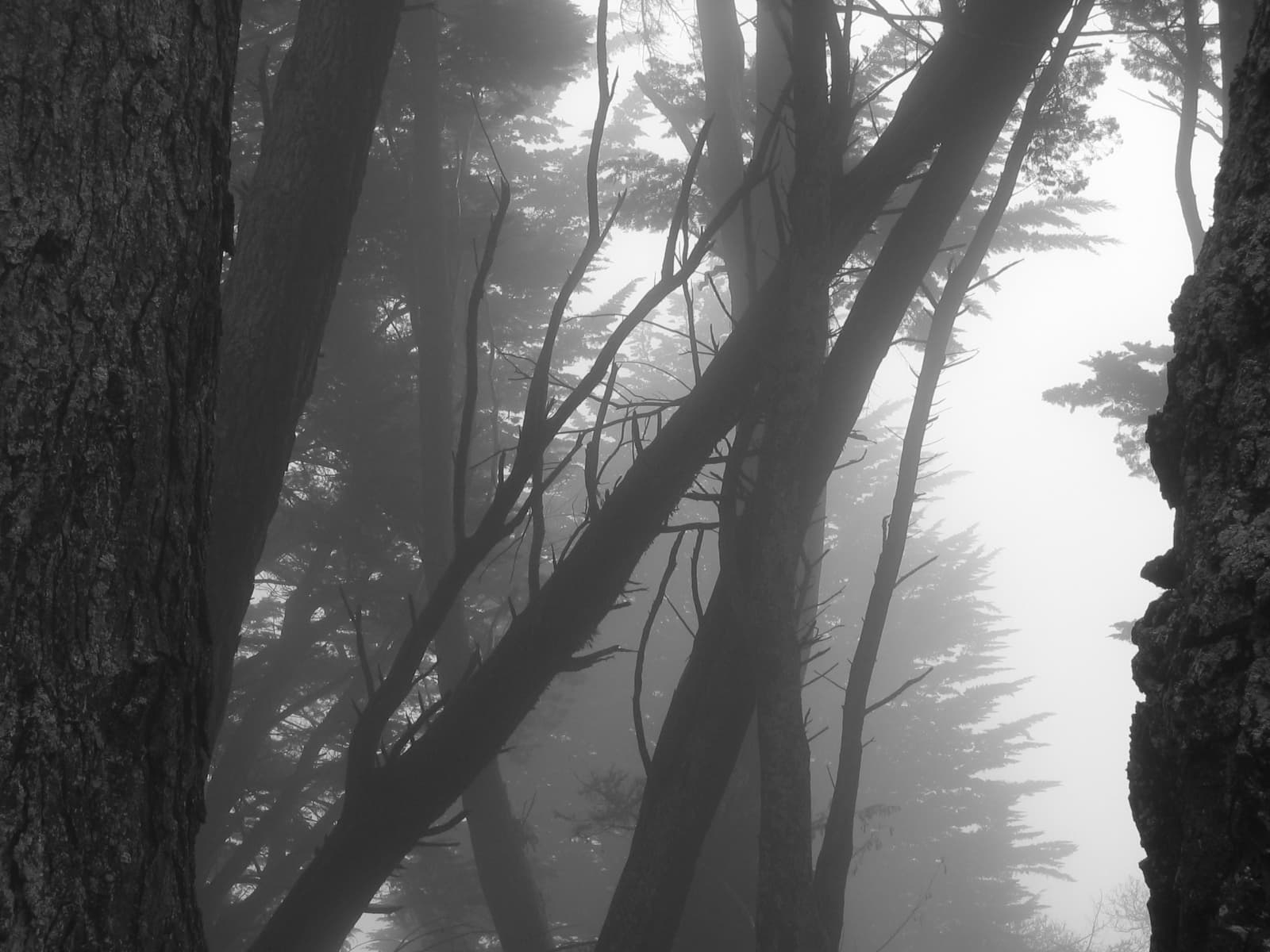 A photo by Kim Pieters